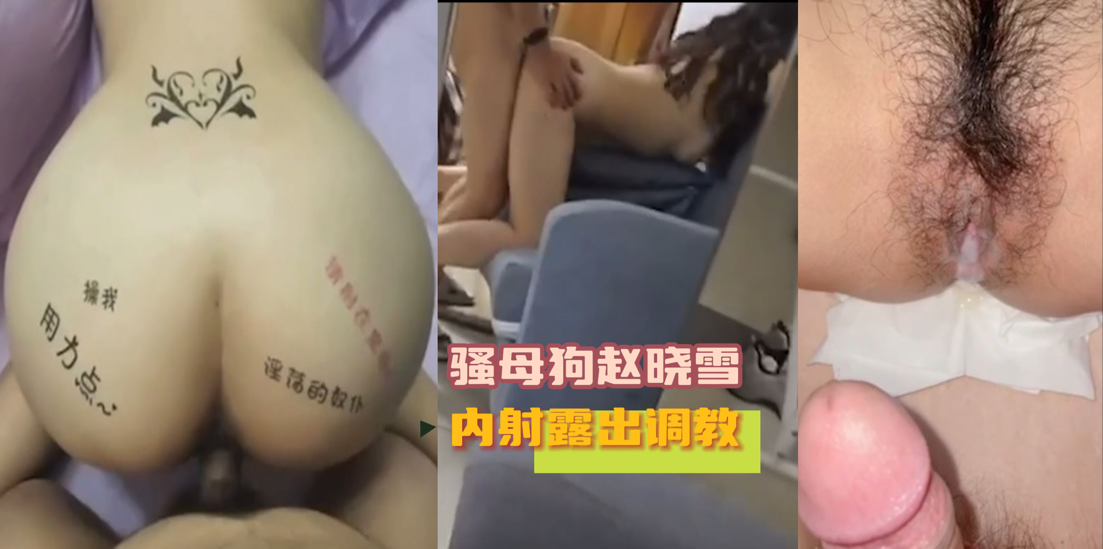 骚母狗赵晓雪 喜欢内射 露出调教	